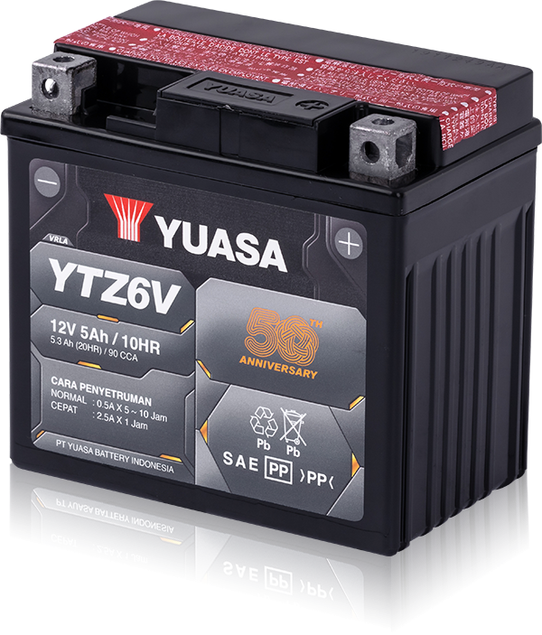 Gambar YTZ6-V